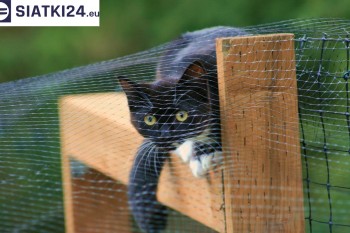Siatki Niepołomice - Dobra siatka balkonowa - na ptaki i dla kota dla terenów Niepołomic