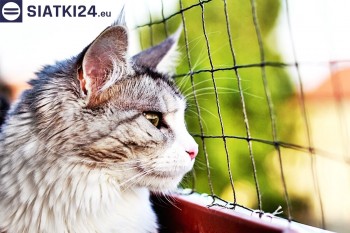Siatki Niepołomice - Siatka na balkony dla kota i zabezpieczenie dzieci dla terenów Niepołomic