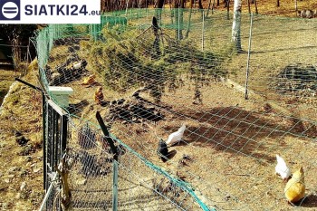 Siatki Niepołomice - Siatka na woliery - zabezpieczenia ptaków w hodowli dla terenów Niepołomic